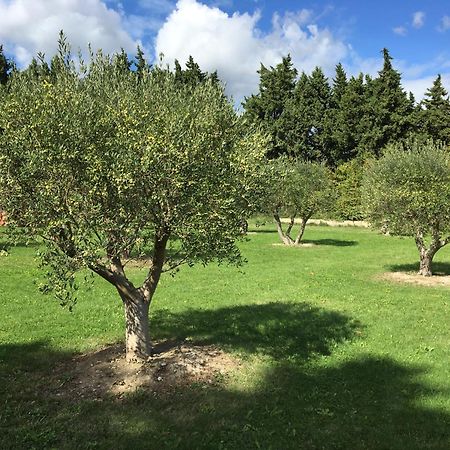Le Mas Terre Des Anges Sarrians Εξωτερικό φωτογραφία