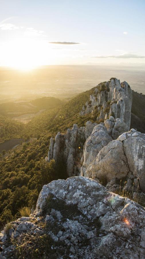 Le Mas Terre Des Anges Sarrians Εξωτερικό φωτογραφία
